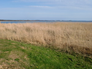 Blick nach Loddin über das Haff