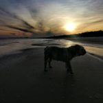 Alle erfreuen sich am neuen Strand.