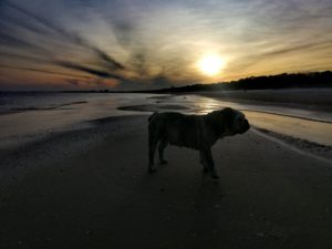 Alle erfreuen sich am neuen Strand.