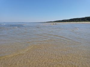 ...und Kleckerburgen mitten aus dem Meer wachsen....